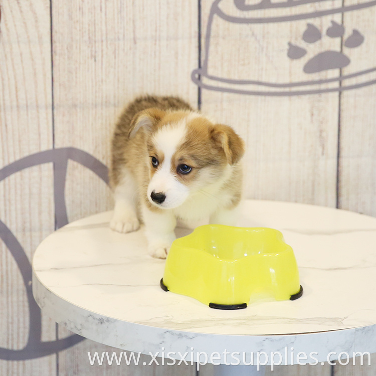 Pet Supplier Customizable New Style Water Food Eco-friendly Plastic Pet Raised Dog Bowl